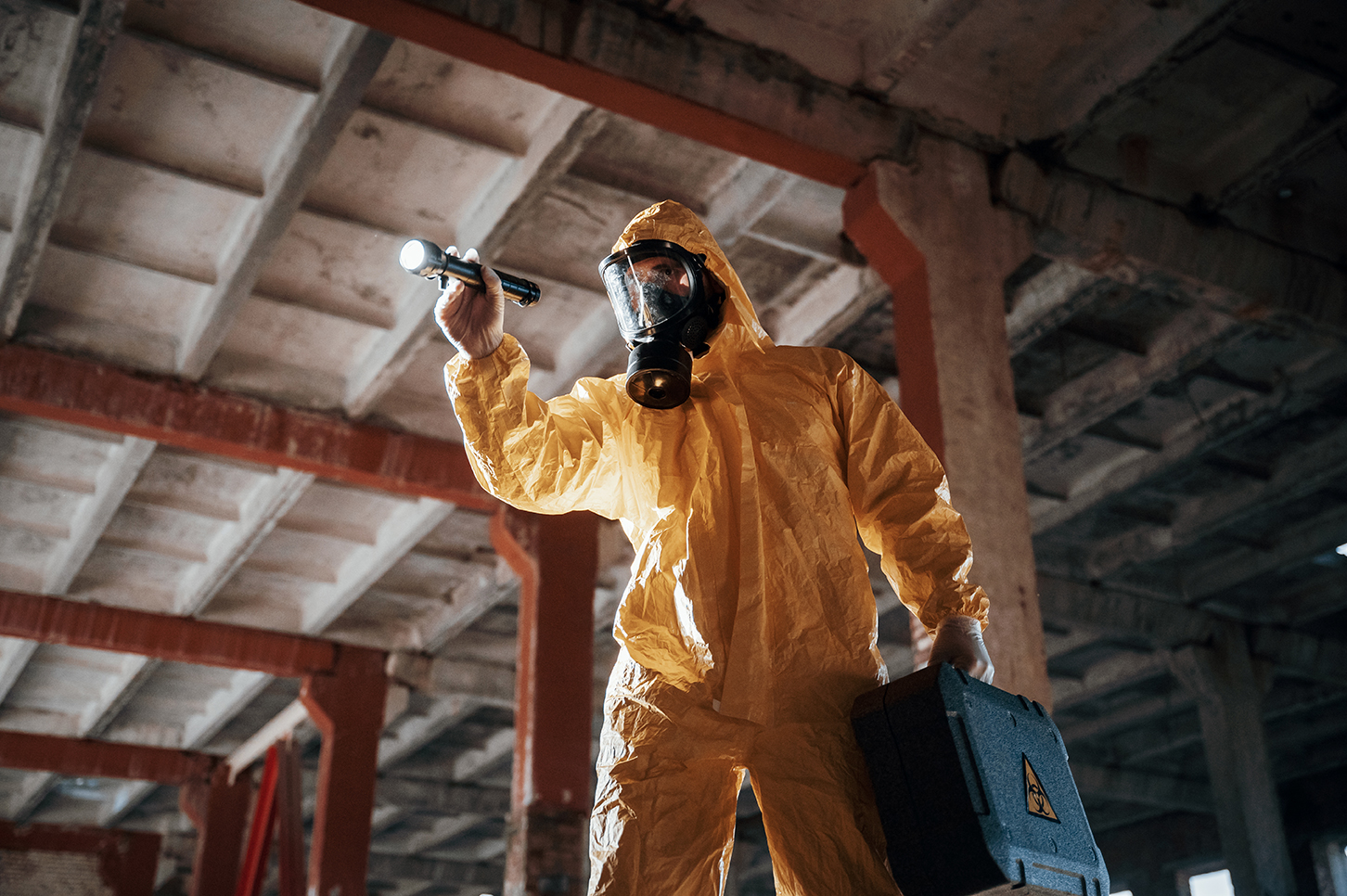 Best Los Angeles Rat Removal Services 2025 Guide - 360 Rodent Control ...