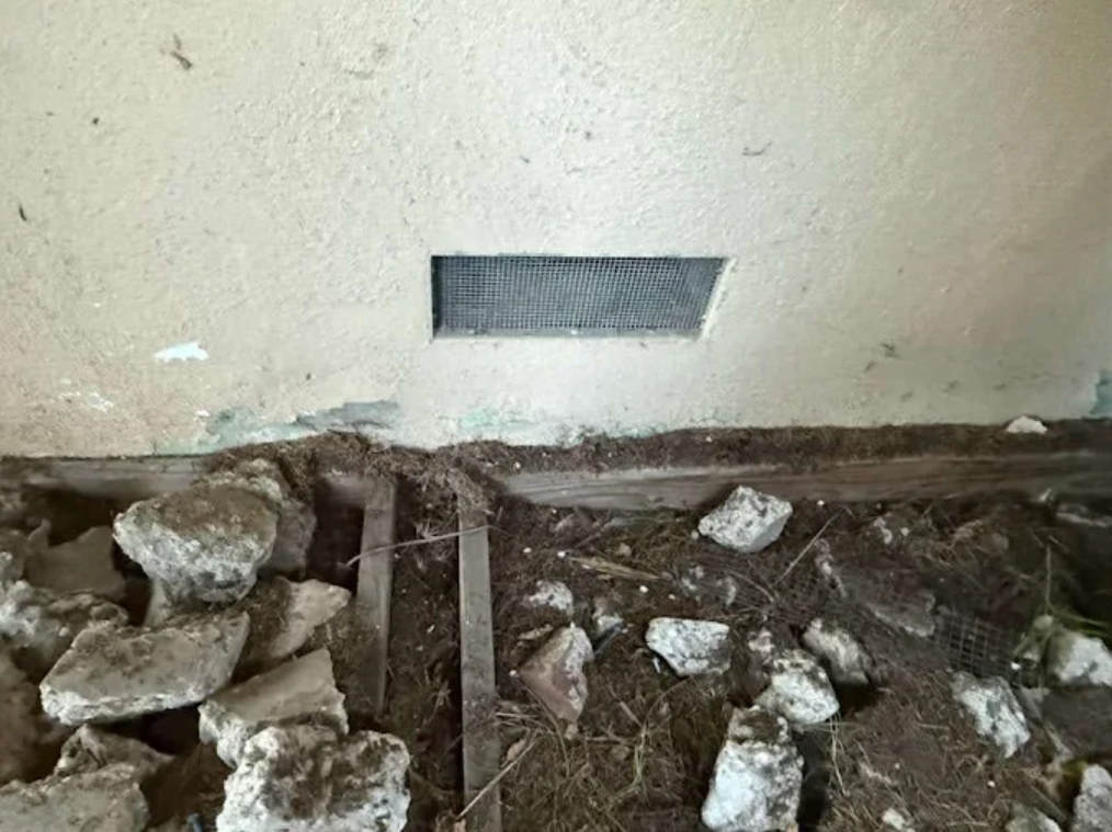 Smart Traps and Ultrasonic Repellers: Do High-Tech Rodent Solutions Actually Work?