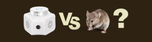 How to Get Rid of Mice Naturally